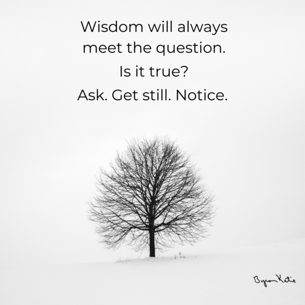 The Work of Byron Katie: Inquiry Based Stress Reduction (IBSR)