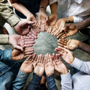 Embracing Diversity