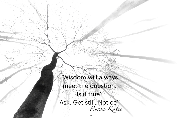 The Work of Byron Katie: Inquiry Based Stress Reduction (IBSR)